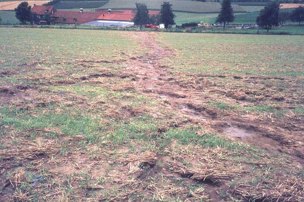 Post Photo for Pilot Project Will Assist Iowa Farmers