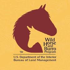 Post Photo for Wild Horse and Burro Program