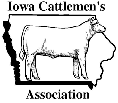 Post Photo for 2020 Governor’s Charity Steer Show Will Go On