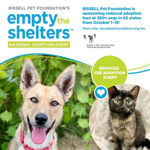 Post Photo for HSNEI Empty The Shelters Event